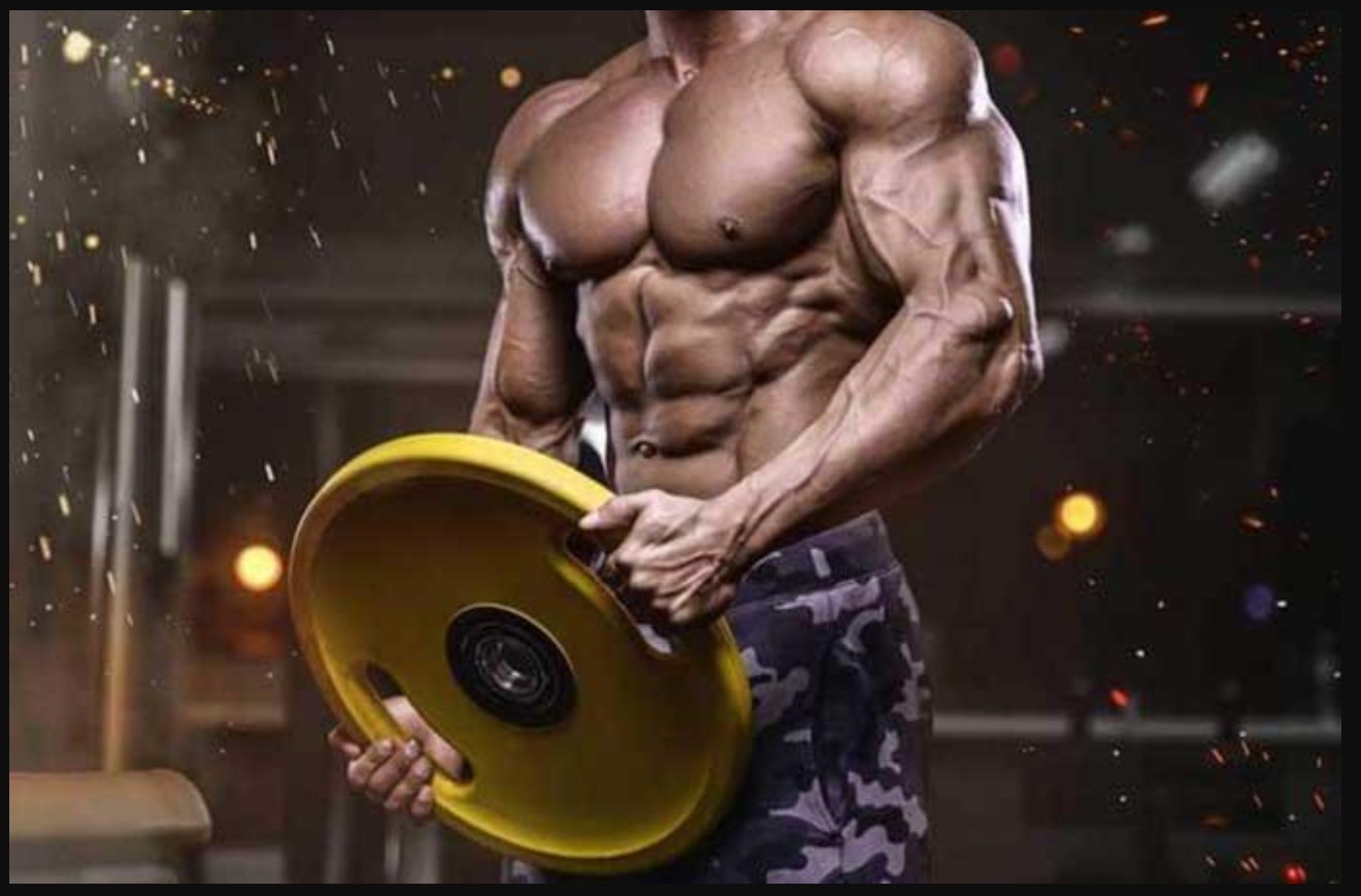 Winstrol for Performance and Physique Enhancement in Strength and Endurance Training
